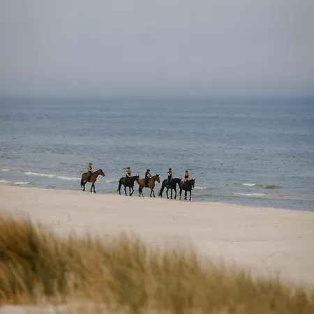 Hébergement de vacances Ulkowo
